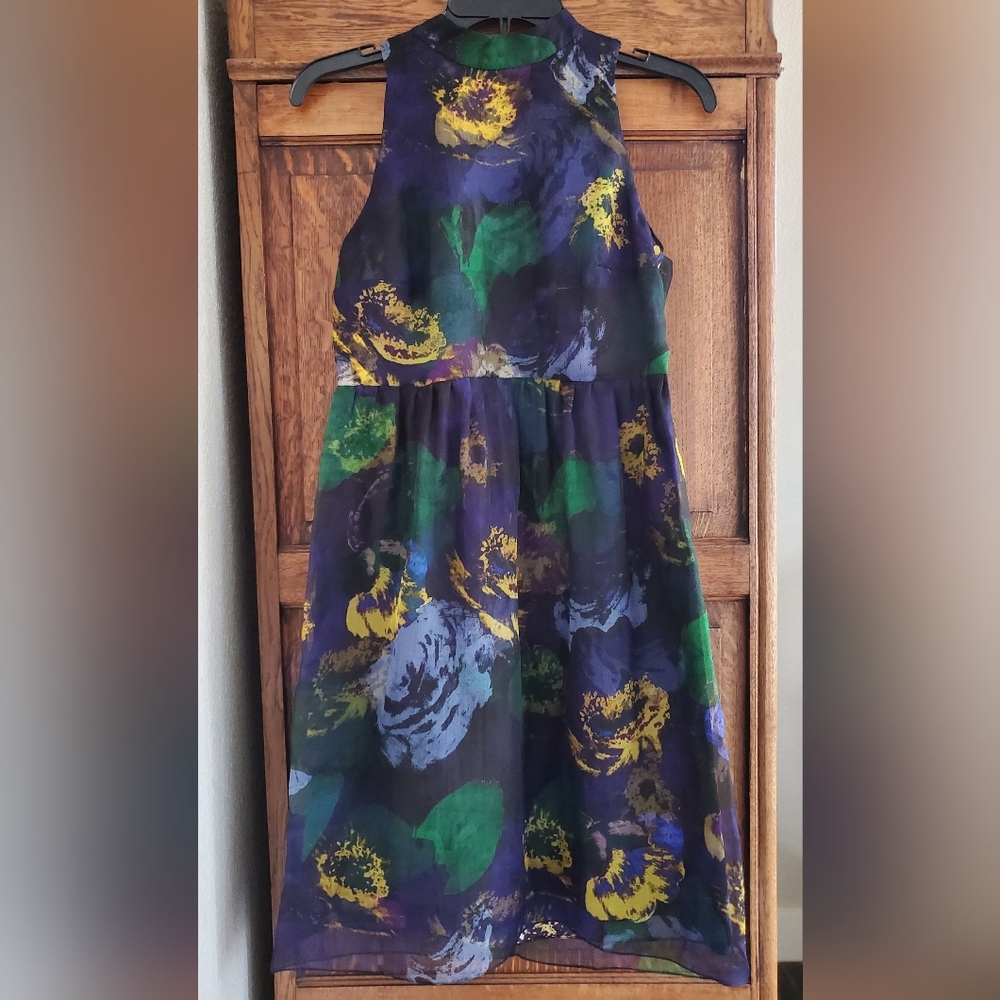 ERDEM SILK DRESS SHEER OVERLAY SIZE 4/6 EXCELLENT! GORGEOUS! LIKE NEW!